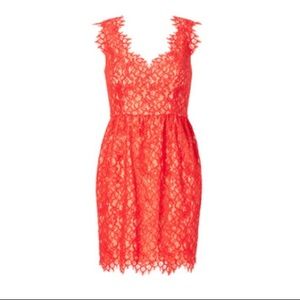 Shoshanna Lace Sierra Dress